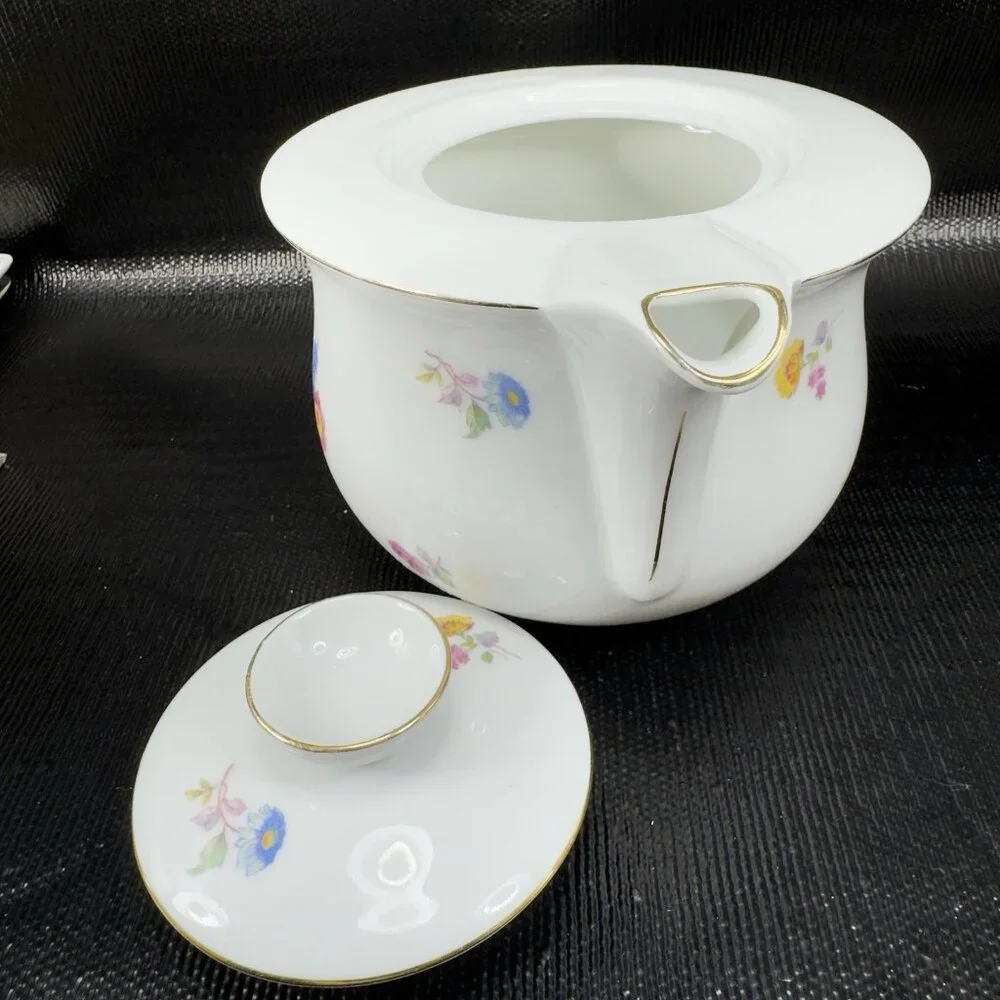 DRASCHE BUDAPEST Fine Porcelain Teapot Carafe Tea Pot Multicolored‎ Floral VTG